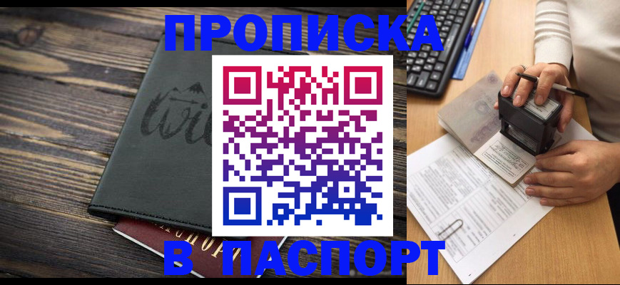 временная регистрация надежно в Щёлково